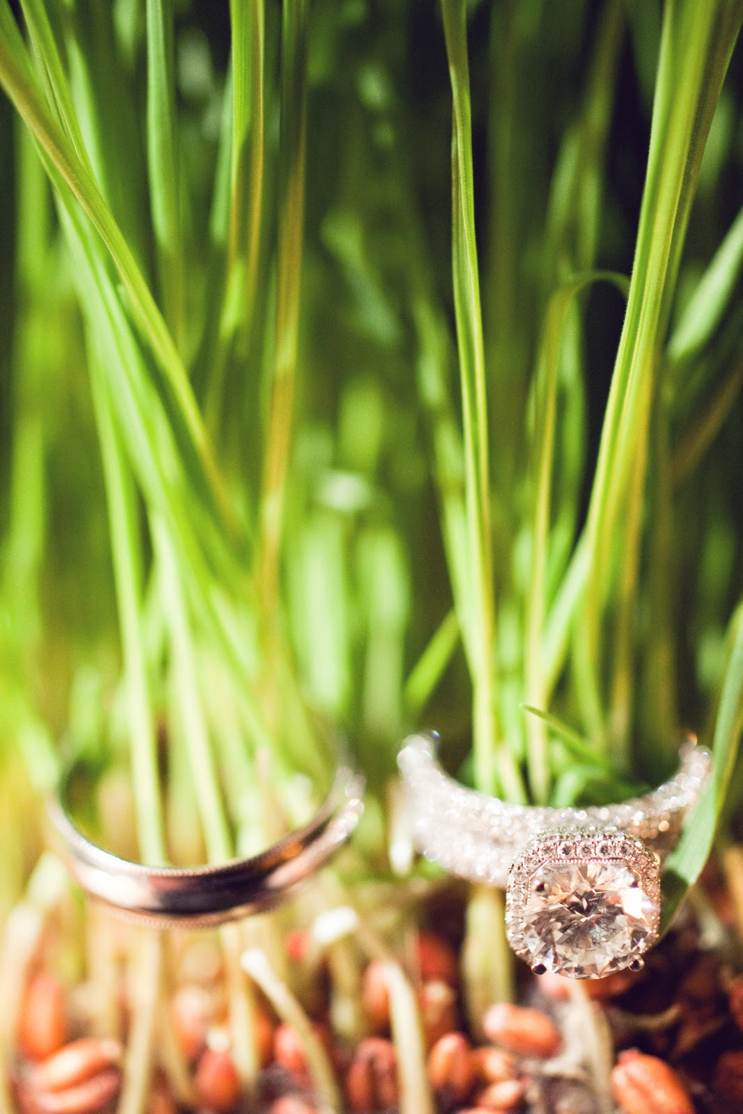 10 Year Wedding Anniversary by popular Nashville lifestyle blog, Hello Happiness: image of wedding bands resting on some wheat grass. 