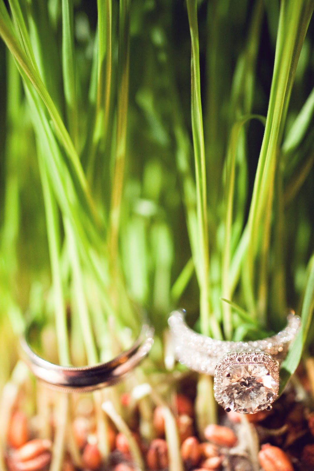 10 Year Wedding Anniversary by popular Nashville lifestyle blog, Hello Happiness: image of wedding bands resting on some wheat grass.